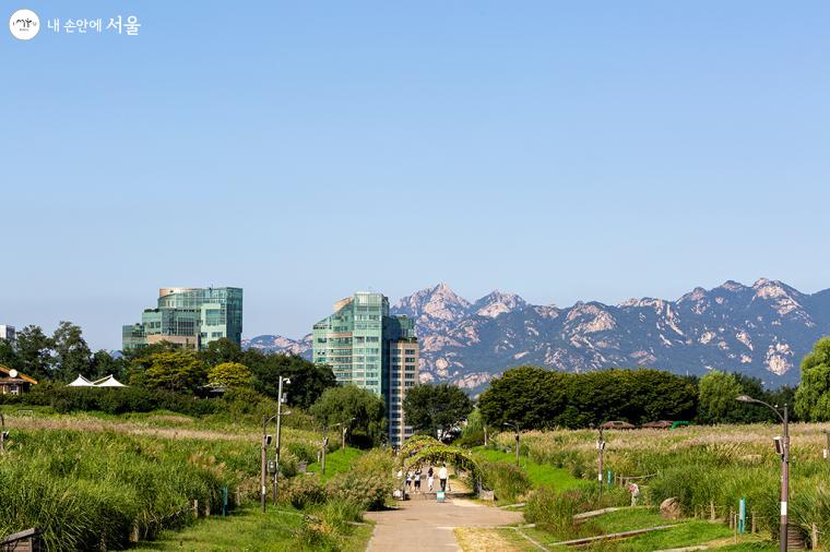 하늘공원(월드컵공원내)